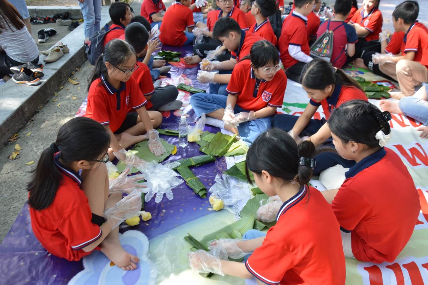 Sân chơi trí tuệ - The magic wonderland of Math Tại trường Tiểu học – THCS Pascal