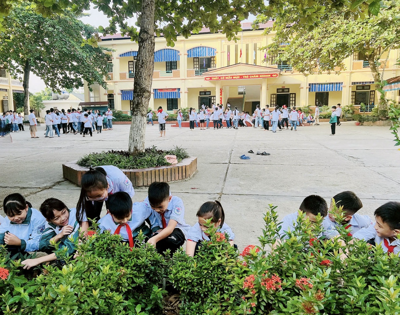 Phú Thọ: Trường Tiểu học Hương Xạ, huyện Hạ Hòa: Đổi mới sáng tạo trong dạy và học
