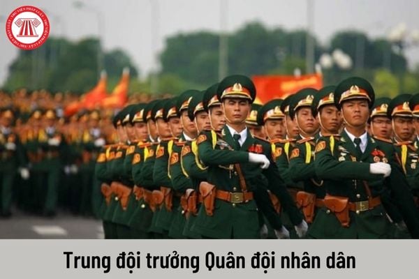 PHÁT HUY VAI TRÒ CỦA TRUNG ĐỘI TRƯỞNG TRONG GIÁO DỤC HẠ SĨ QUAN, BINH SĨ