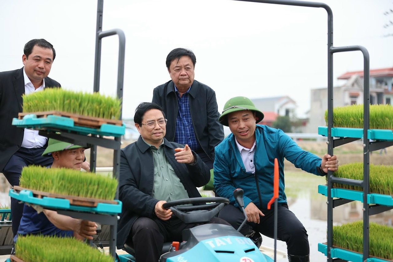 THỦ TƯỚNG PHẠM MINH CHÍNH VÀ BỘ TRƯỞNG BỘ NN&PTNT XUỐNG ĐỒNG CẤY LÚA CÙNG NÔNG DÂN
