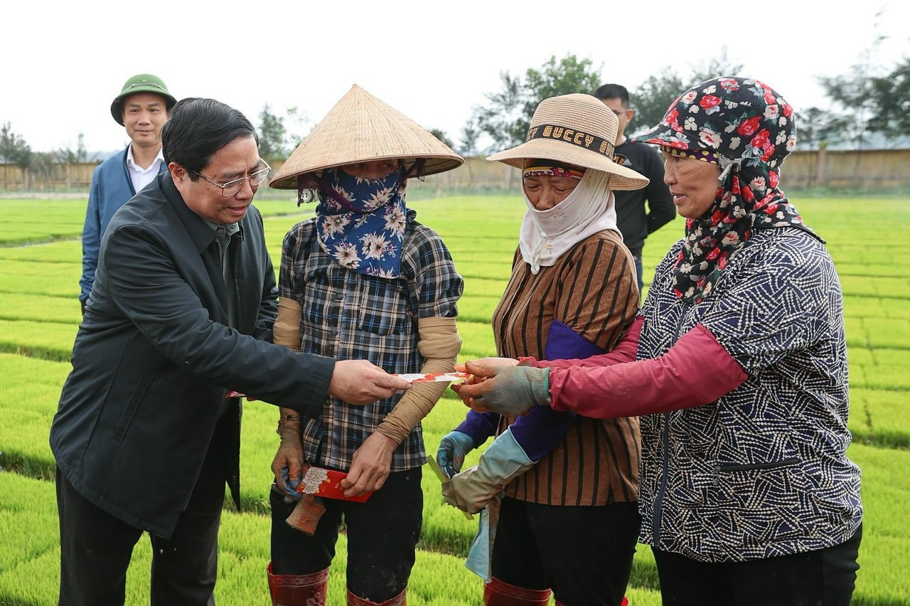 THỦ TƯỚNG PHẠM MINH CHÍNH VÀ BỘ TRƯỞNG BỘ NN&PTNT XUỐNG ĐỒNG CẤY LÚA CÙNG NÔNG DÂN