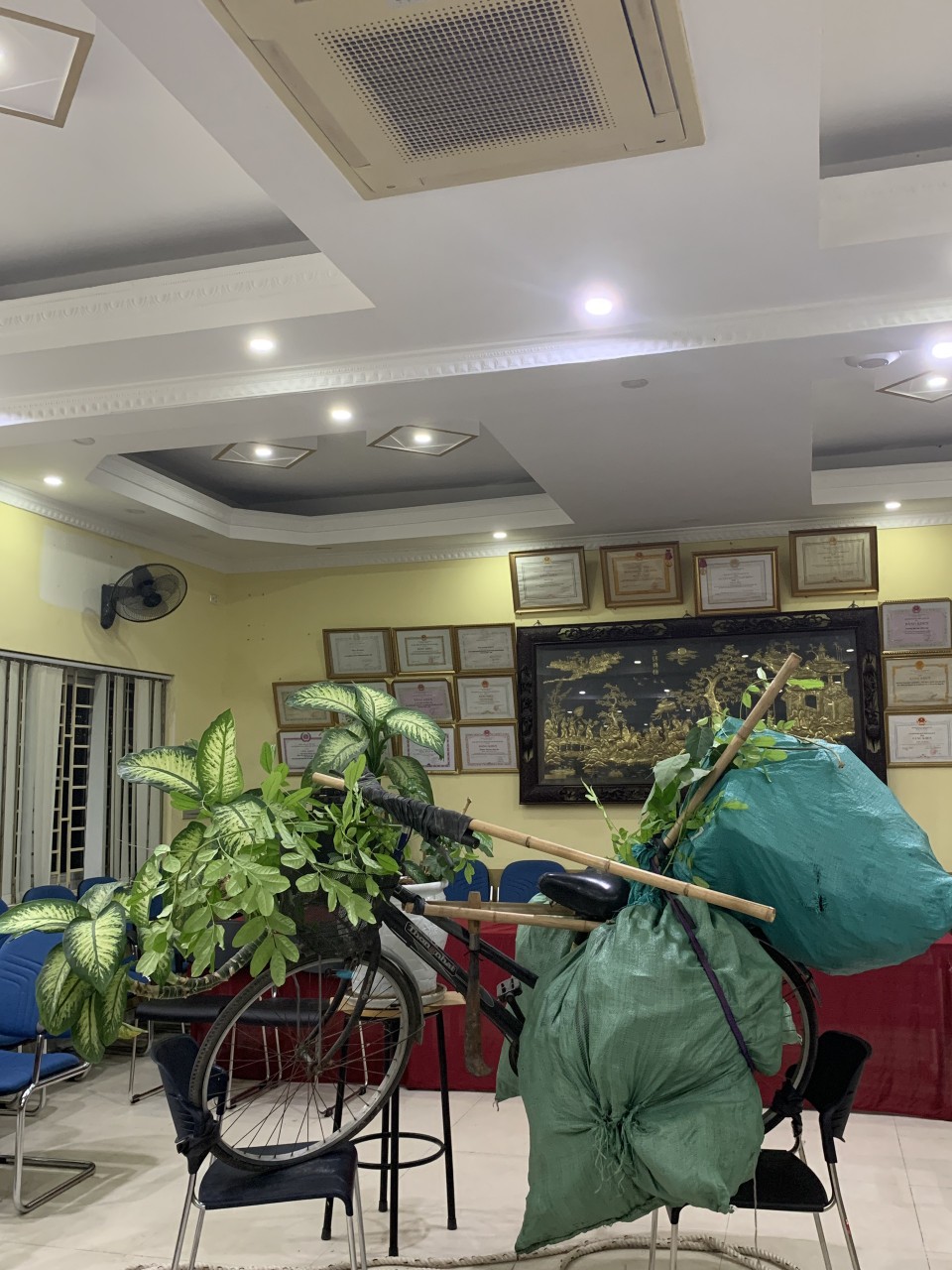Ngành Lịch sử & Địa lý, trường ĐHGD tổ chức tọa đàm: “ Âm vang chiến thắng Điện Biên Phủ (1954-2024)”