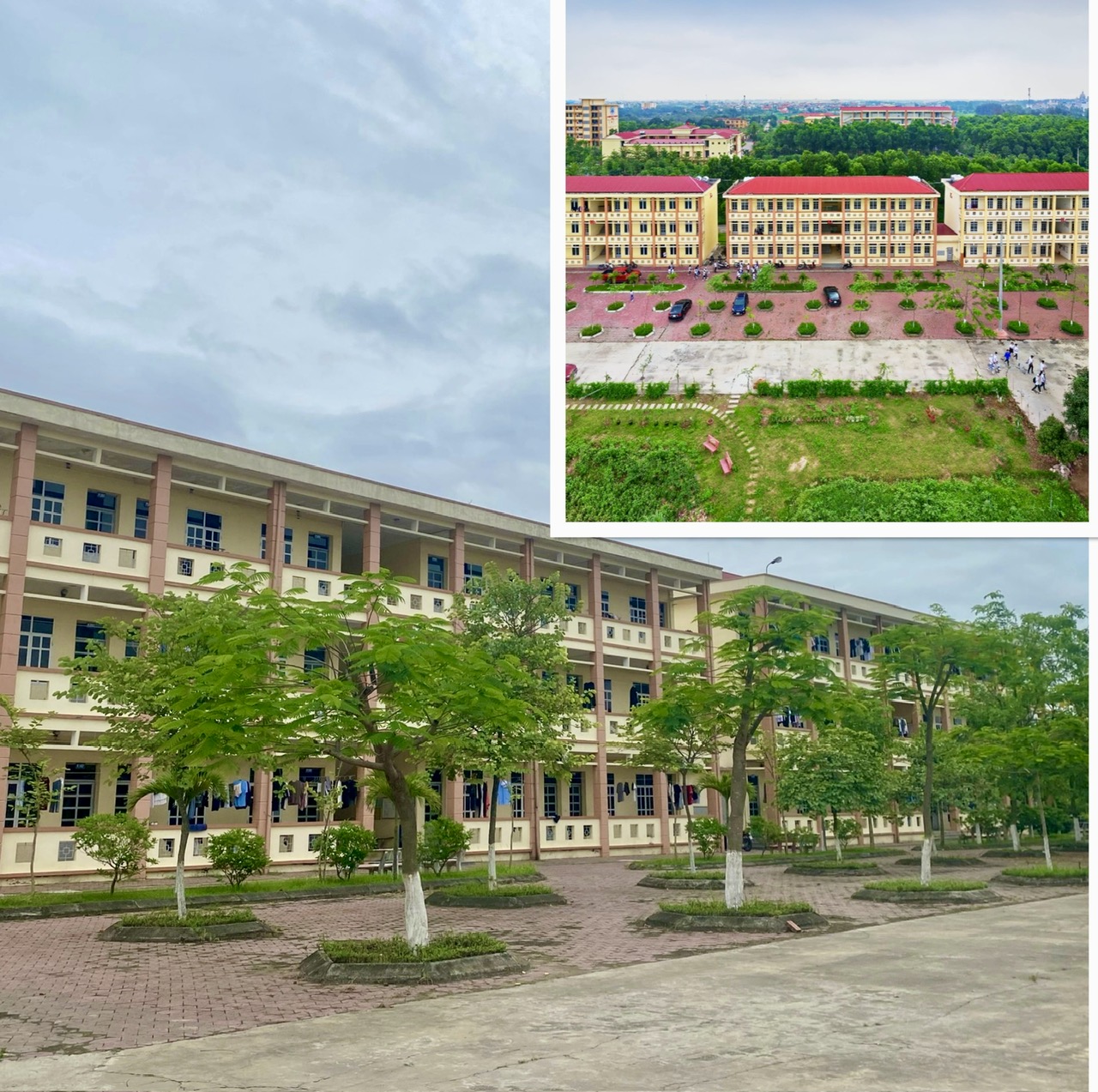 Trường Đại học Thành Đông áp dụng nhiều chính sách thu hút sinh viên trong mùa tuyển sinh đại học năm 2024