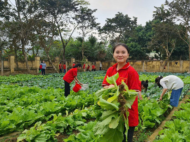 Phú Thọ: Trường Phổ thông dân tộc nội trú THCS huyện Thanh Sơn xứng danh lá cờ đầu