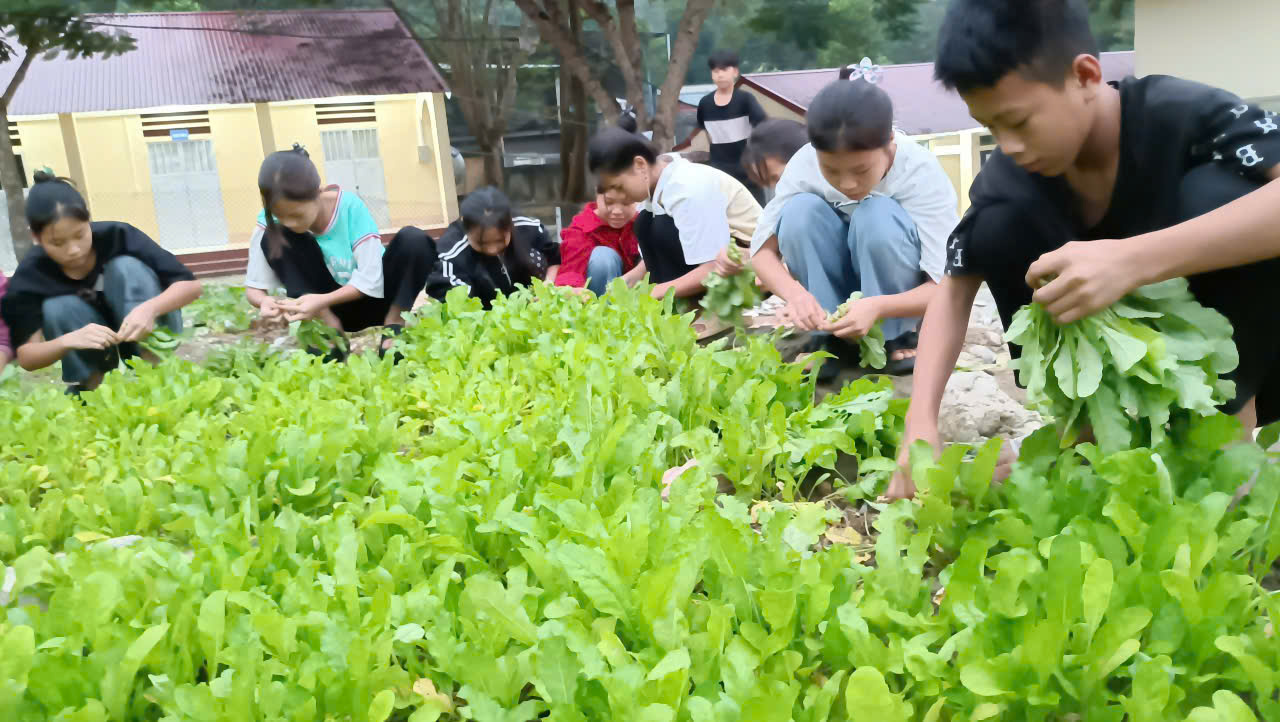 Hà Giang: Các trường phổ thông dân tộc bán trú ở xã Thuận Hoà( Vị Xuyên)bảo đảm chế độ cho học sinh