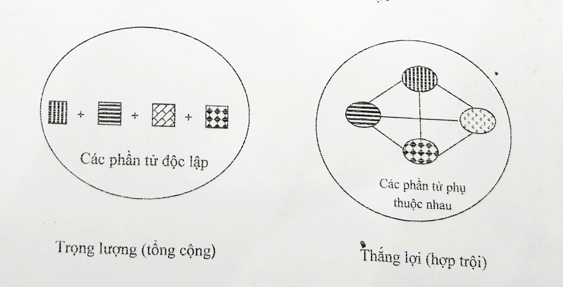 NGUYÊN TẮC LÃNH ĐẠO VÀ QUẢN LÝ GIÁO DỤC