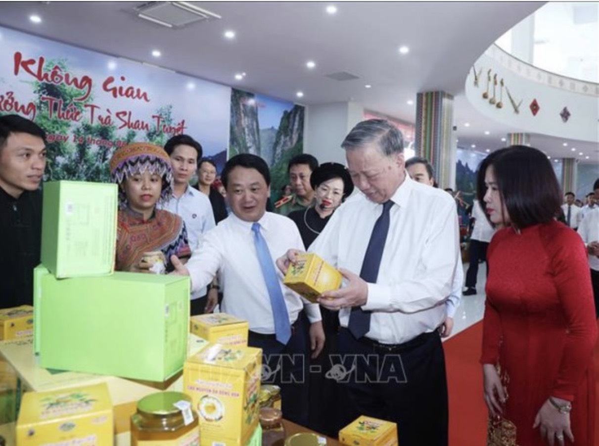 Tuyên Quang: kết quả nổi bật năm 2025 - Phát triển bền vững từ nền tảng giáo dục và an sinh