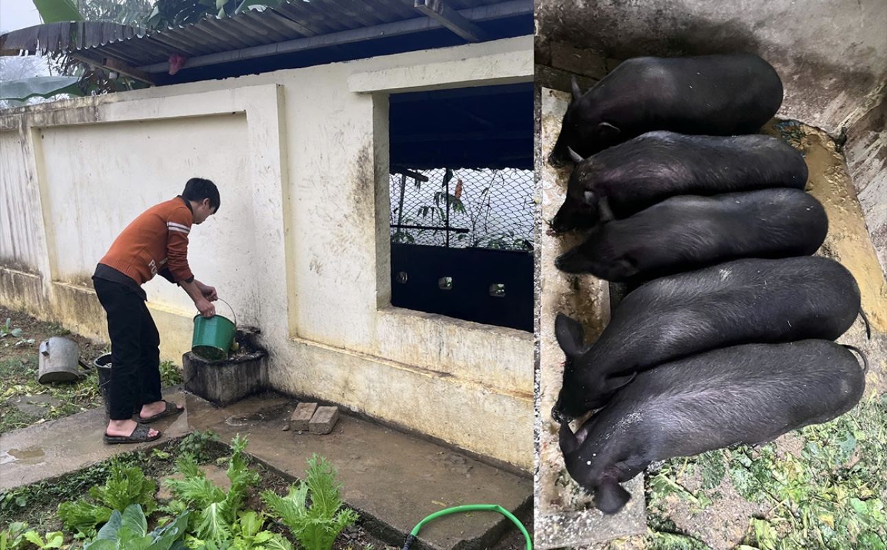 Hà Giang: Hiệu quả từ mô hình “Vườn rau xanh gây quỹ” tại Trường PTDTBT TH&THCS Đức Xuân