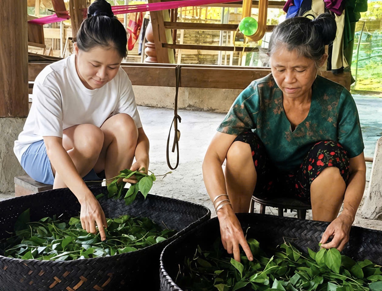 Nữ sinh bản nghèo người Thái và ước mơ gieo chữ vùng cao