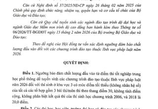 Bộ GD&ĐT công bố ngưỡng bảo đảm chất lượng đầu vào các ngành đào tạo giáo viên, sức khỏe và pháp luật năm 2026