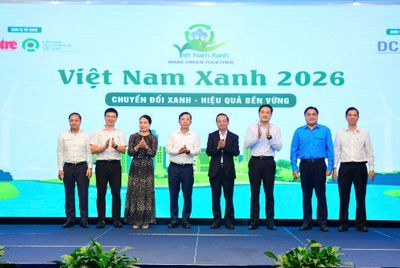 NĂNG LỰC KẾ TOÁN BỀN VỮNG TRONG BỐI CẢNH CHUYỂN ĐỔI XANH: PHÂN TÍCH TRẮC LƯỢNG THƯ MỤC VÀ HÀM Ý ĐỐI VỚI PHÁT TRIỂN NGUỒN NHÂN LỰC