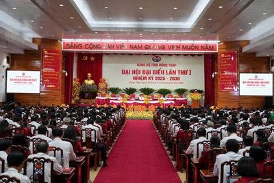 CÔNG TÁC XÂY DỰNG ĐẢNG TẠI TỈNH ĐỒNG THÁP TRONG BỐI CẢNH TỔ CHỨC CHÍNH QUYỀN ĐỊA PHƯƠNG HAI CẤP: THỰC TRẠNG VÀ GIẢI PHÁP