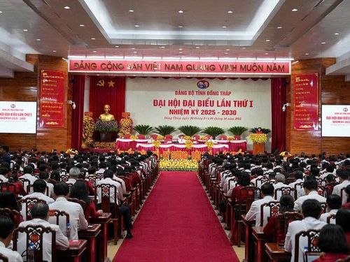 CÔNG TÁC XÂY DỰNG ĐẢNG TẠI TỈNH ĐỒNG THÁP TRONG BỐI CẢNH TỔ CHỨC CHÍNH QUYỀN ĐỊA PHƯƠNG HAI CẤP: THỰC TRẠNG VÀ GIẢI PHÁP
