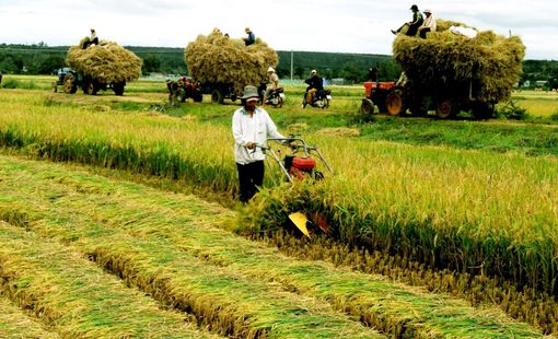 Giáo dục sử dụng hiệu quả đất sản xuất nơng nghiệp trên địa bàn xã Thanh Liên, huyện Thanh Chương, tỉnh Nghệ An