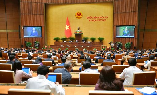 Bác sĩ được mở phòng khám tư, vậy giáo viên có được mở lớp dạy thêm không?