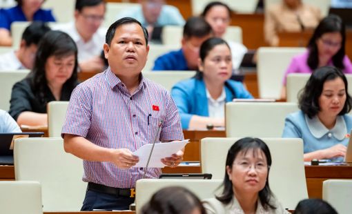 Quốc hội thảo luận về việc Bộ GD&ĐT soạn sách giáo khoa mới