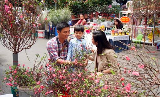 Thủ tướng duyệt phương án nghỉ Tết Nguyên đán 7 ngày