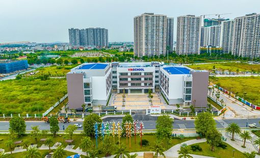 AI & NGƯỜI DẠY: TÌM TÒI - SUY TƯ & NHẬN ĐỊNH