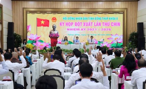 Đồng Tháp hỗ trợ 50% học phí cho học sinh trung học cơ sở