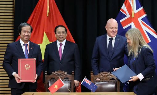Giáo dục trọng tâm trong quan hệ hợp tác Việt Nam - New Zealand
