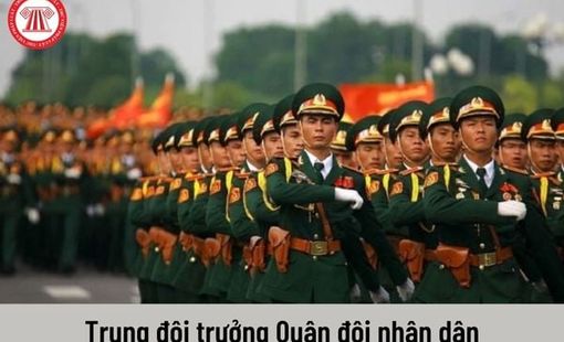 PHÁT HUY VAI TRÒ CỦA TRUNG ĐỘI TRƯỞNG TRONG GIÁO DỤC HẠ SĨ QUAN, BINH SĨ