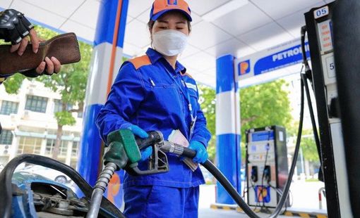 Quyết định mức thuế bảo vệ môi trường đối với xăng, dầu năm 2025