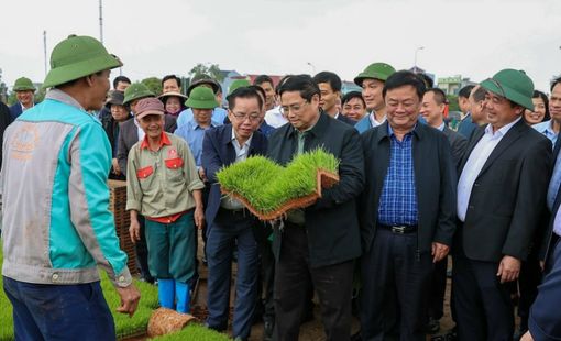 THỦ TƯỚNG PHẠM MINH CHÍNH VÀ BỘ TRƯỞNG BỘ NN&PTNT XUỐNG ĐỒNG CẤY LÚA CÙNG NÔNG DÂN