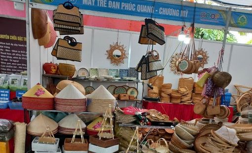 Công nhận 104 sản phẩm OCOP đạt 4 sao năm 2023
