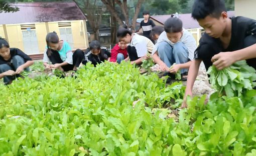 Hà Giang: Các trường phổ thông dân tộc bán trú ở xã Thuận Hoà( Vị Xuyên)bảo đảm chế độ cho học sinh