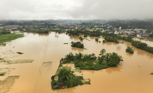 Cao Bằng căng mình chống lũ: Thiệt hại nghiêm trọng về người và tài sản