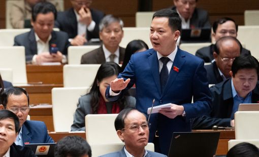 Đề xuất miễn trách nhiệm dân sự và hình sự vì nghiên cứu khoa học 'rất rủi ro'