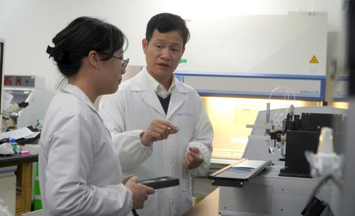 13 trường đại học trọng điểm đào tạo nhân lực công nghệ cao phục vụ chuyển đổi số quốc gia