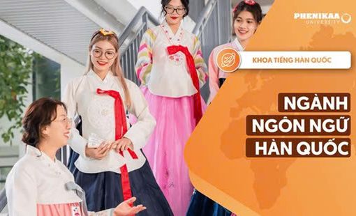 KHẢO SÁT MỨC ĐỘ TƯƠNG ĐƯƠNG NGỮ NGHĨA CỦA QUÁN DỤNG NGỮ TIẾNG HÀN CHỨA YẾU TỐ “손” VÀ CÁC DIỄN ĐẠT CÓ TỪ “TAY” TRONG TIẾNG VIỆT