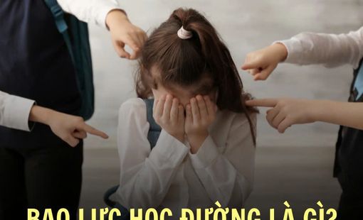 CƠ SỞ TÂM LÝ CỦA HÀNH VI VI PHẠM PHÁP LUẬT TRONG LỨA TUỔI THANH NIÊN HỌC ĐƯỜNG