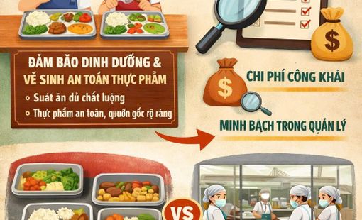 Suất ăn bán trú trong trường học - Giữa nhu cầu thực tiễn và yêu cầu minh bạch