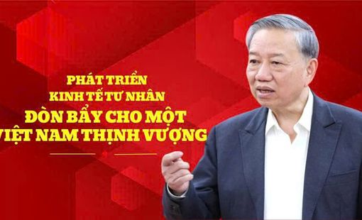 PHÁT TRIỂN KINH TẾ TƯ NHÂN Ở VIỆT NAM: QUAN ĐIỂM CỦA ĐẢNG VÀ THỰC TIỄN PHÁT TRIỂN