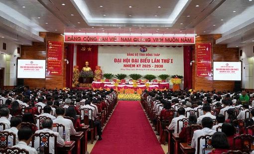 CÔNG TÁC XÂY DỰNG ĐẢNG TẠI TỈNH ĐỒNG THÁP TRONG BỐI CẢNH TỔ CHỨC CHÍNH QUYỀN ĐỊA PHƯƠNG HAI CẤP: THỰC TRẠNG VÀ GIẢI PHÁP