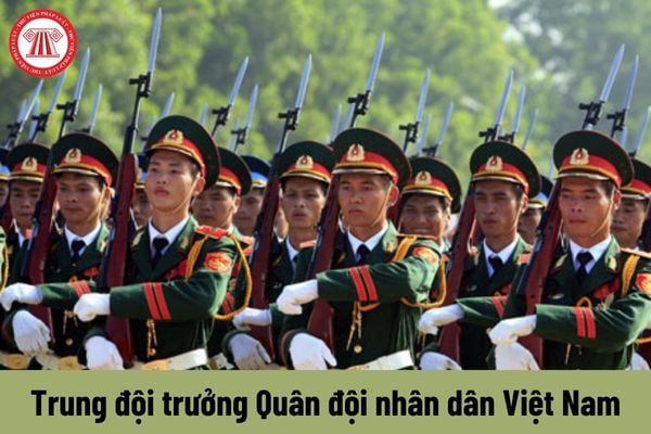 BỒI DƯỠNG KỸ NĂNG THUYẾT PHỤC HẠ SĨ QUAN - BINH SĨ CHO TRUNG ĐỘI TRƯỞNG ĐƠN VỊ HUẤN LUYỆN SẴN SÀNG CHIẾN ĐẤU